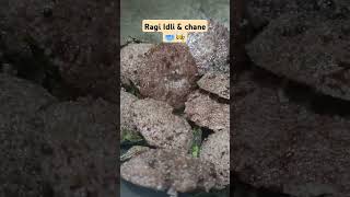 Ragi Idli amp chane 🥣👩‍🍳 todaysmenu breakfast healthyfood dreamlife9999 ytshorts healthtips [upl. by Trixie]