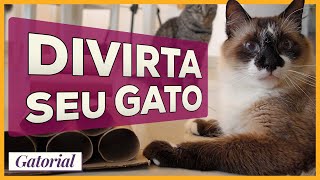 Como Divertir um Gato  Gatorial Dreamies [upl. by Leuqar]