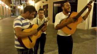 Los muchachos gitanos nos cantan en Sevilla [upl. by Service103]