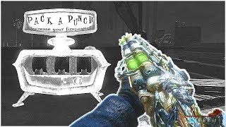 So I Was Put Into A Hacked BO2 Zombies Lobby Call of Duty Black Ops 2 Zombies [upl. by Chucho346]