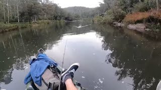 Exploring The Magnificent Nymboida River Walkabout day 3 [upl. by Hodosh]