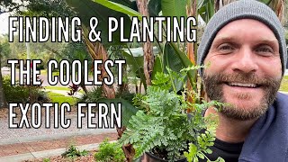 Finding amp Planting the Coolest Exotic Fern  Garden Center Tour  Rabbits Foot Fern Davallia [upl. by Fante]