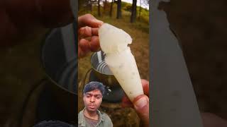 What is this 😱🙀 camping survival bushcraft outdoors lifehacks shorts [upl. by Nissy]