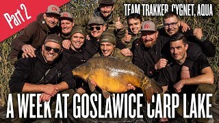 Carp Fishing In Poland  A Week at Goslawice Carp Lake  Part 2 EU Subtitles Available [upl. by Aurelea34]