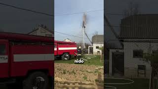 Cigüeña Cuyo Nido Destruyeron Los Bomberos 🕊️🕊️ curiosidades interesante cigueña nido [upl. by Nnyw714]