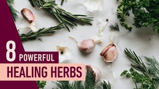 Top 8 Healing HERBS  The Most Powerful Herbs to HEAL the Body [upl. by Annawyt]