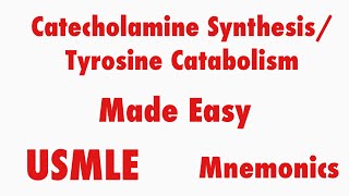 Catecholamine Synthesis Tyrosine Catabolism USMLE Mnemonics [upl. by Hawker]