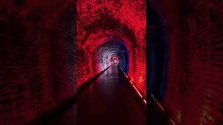 Brockville tunnel walk… canada brockville brockvilletunnel amazing travel video news tour [upl. by Ynohtona961]