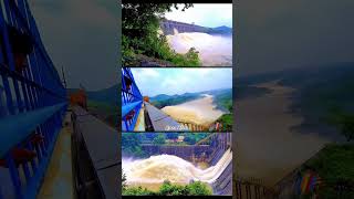 Maithon Dam Dhanbad Water Release  DVC Damodar Valley Corp  Maithon Dam Status dhanbad asansol [upl. by Willet]