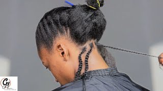 Two Strand Twist 4Month Lasting Tutorial Trying This New Method [upl. by Aenehs]