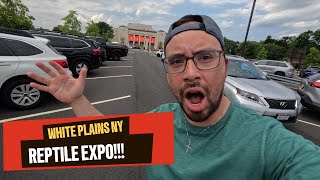 WHITE PLAINS NY REPTILE EXPO 2024 WALK THRU [upl. by Fedak]