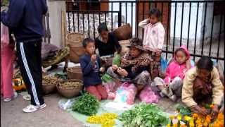 Grocery Shopping Luang Prabang Morning Market Laos [upl. by Branham]