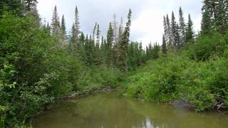 Ghost River which flows into Lake Abitibi [upl. by Kir]