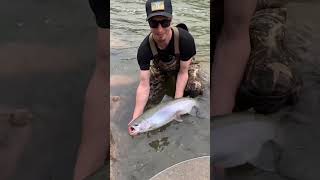 Steelhead fishing big Manistee river tippy dam Michigan 2023 [upl. by Henriette]