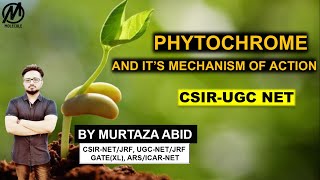 PHYTOCHROME amp ITS MECHANISM OF ACTION  CSIRNET ICMR DBT GATEXL MSc  Sensory Photobiology [upl. by Annodal]