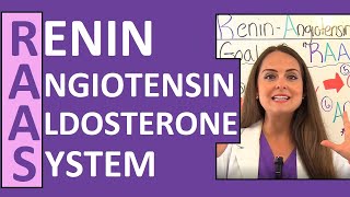 Renin Angiotensin Aldosterone System RAAS Nursing Mechanism for Blood Pressure [upl. by Egni]