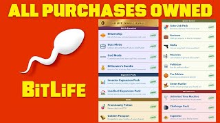 Bitlife 387 MOD  Golden Passport Promiscuity Potion Landlord Investor Time Machine Challenge Vaul [upl. by Ike]