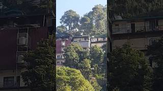 Beautiful himachal hill station dharampur himachal travel traveling himachalpradesh [upl. by Eelessej]