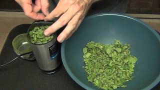 The Shocking Truth About Moringa Leaf Powder  Health Benefits Side Effects amp Dangers New 2019 [upl. by Alric]