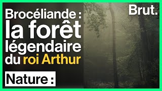 Brocéliande  la forêt légendaire du roi Arthur [upl. by Vinaya]