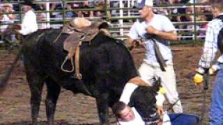 Clearwater rodeo wild cow ride june 28 09 [upl. by Nnylhsa335]