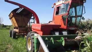 New Idea 709 Uni System Forage Harvester with 868 Chopper and 6221 Feeder House [upl. by Brita]