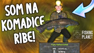 PECANJE SOMA NA KOMADICE RIBE  Fishing Planet Flathead Catfish Neherrin River [upl. by Whiffen]