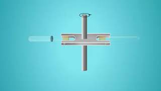 Meselson amp Stahls Experiment [upl. by Halli]