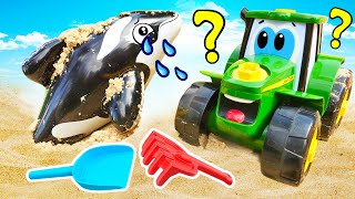 Johnny le tracteur sauve une petite orque  Que lui estil arrivé  Jeux avec jouets dans le sable [upl. by Essyle]