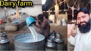 Dairy Farm Business  Cattell Colony Karachi  Business Ideas [upl. by Liliane]