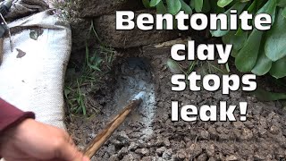 Stop flooding with Bentonite clay Plug that gopher hole [upl. by Timms]