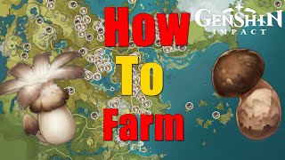 The Best Locations To Farm Mushroom And Matsutake In Genshin Impact [upl. by Ennoitna]