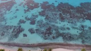 The Long Island Dhigurah Part 02 [upl. by Ulrich516]