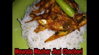 Mourala Macher Jhal Chachori  Bengali style  Moms style spicy small fish curry recipe [upl. by Aihtnis]