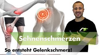 Sehnenschmerzen  Das solltest du über Schmerzen wissen [upl. by Hacim]