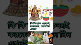 মহালয়া 2024  কি কি করবেন না shortsytshortshortsfeedmahalaya [upl. by Madelena]