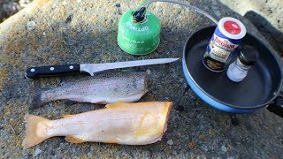 Golden Trout vs Rainbow Trout Catch n Cook Taste Test [upl. by Epps]