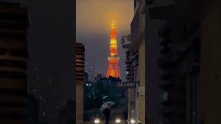 Roppongi Hills and Tokyo Tower [upl. by Anelej]