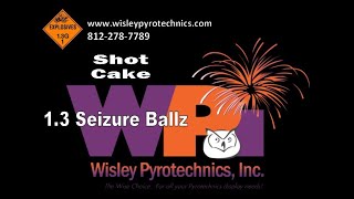 Wisley Pyrotechnics Inc  WPI288SBZ  Seizure Ballz  288 Shot Cake Firework Fixed Audio [upl. by Lubbock777]