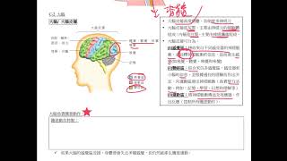 HKDSE 生物科 概念重溫篇：第16課（4） 中樞神經系統（大腦） [upl. by Aknahs920]