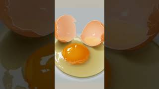 What is the description of a fertilized eggWhat is the description of a fertilized eggWhat is the [upl. by Pond]