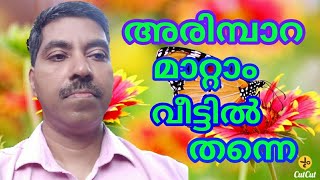 Arimpara Removal  Remove Warts  Malayalam  Suresh Tips A To Z  malayaliyoutuber [upl. by Assilen407]