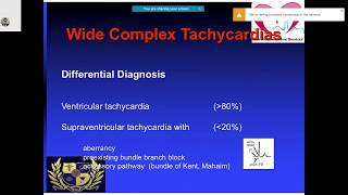 ECG basics and fundamentals ecgbasics ecgfundamentals ecg EKG ELECTROCARDIOGRAM ELECTROCARDIO [upl. by Ssidnac]