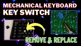 Lets Repair and Clean a Broken Mechanical Keyboard [upl. by Rowe]