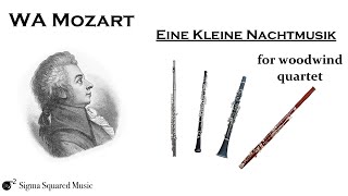 Mozart  Eine Kleine Nachtmusik first movement for Woodwind Quartet  Score Video [upl. by Penoyer473]