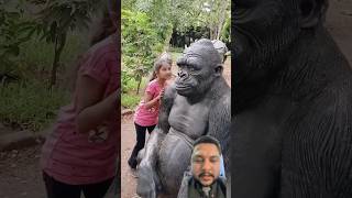 Gorilla 🦍 ears 👂 spiderman and cockroach 🪳 animals monkey gorilla zoo kgfchapter2 shorts [upl. by Sampson]