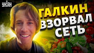 Это хит Галкин взорвал сеть новым видео Пугачева довела россиян до истерики [upl. by Doe]