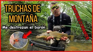 Pesca de truchas en río de montaña me destrozan el barón quotrojoquot flyfishing catchandrelease trout [upl. by Ellennahc]