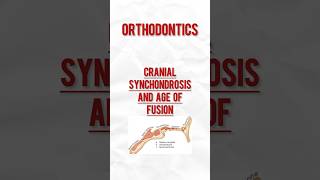 Synchondrosis orthodontist cranial [upl. by Amara]