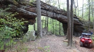 Jellico Tn trail riding in the RZRs [upl. by Seuguh]